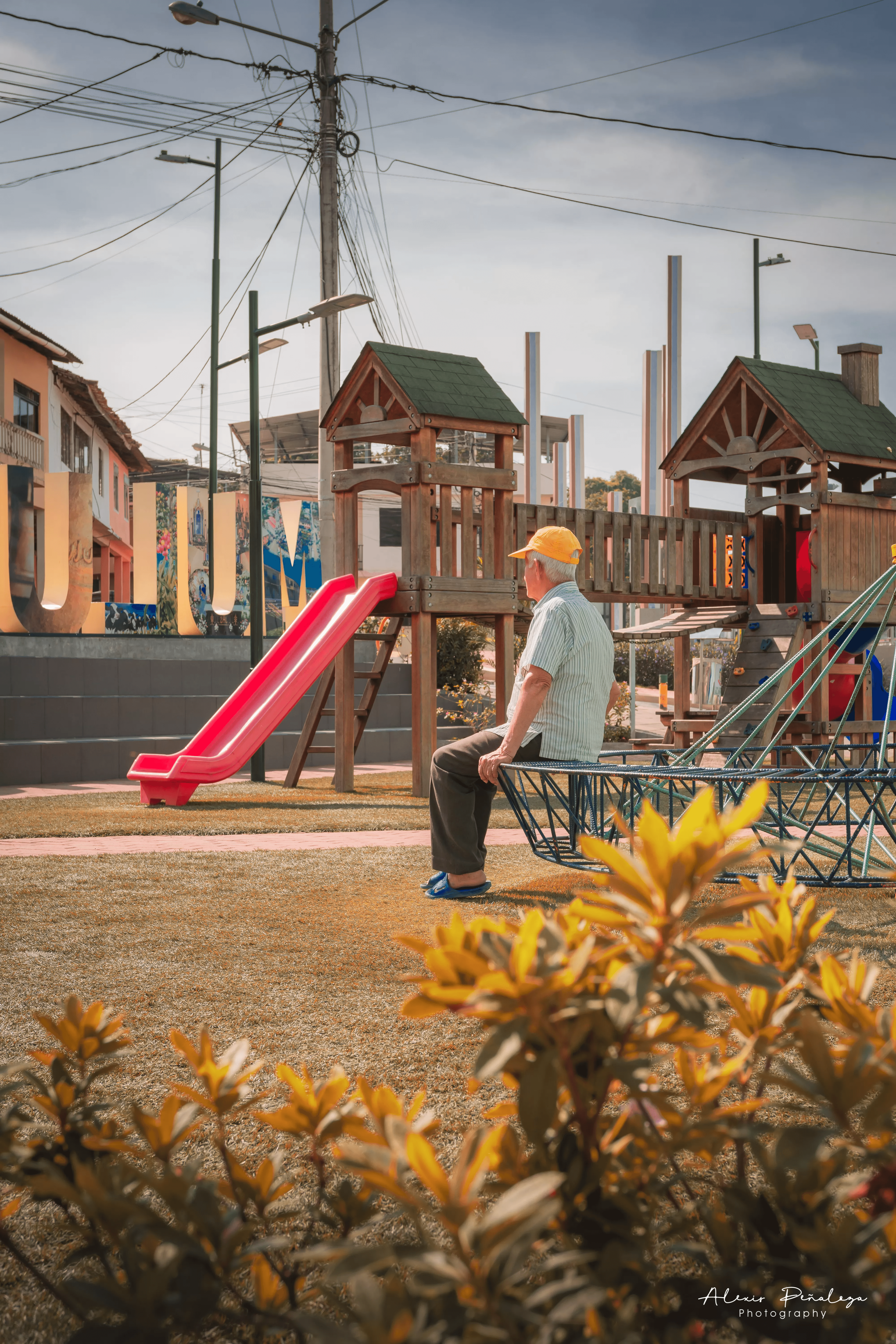 Hombre mayor descansando en el parque, visto a través de plantas tropicales desenfocadas